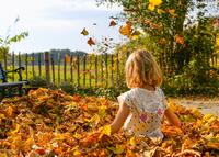 automne