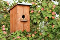 birdhouse-1537806_1920
