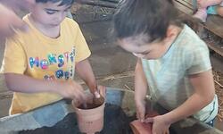 IMG-20230605-WA0004